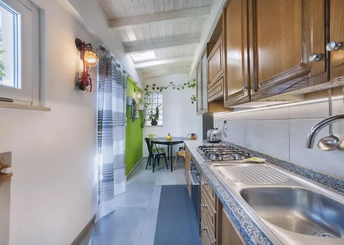 House Garden Augusta Daire